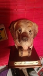 Фигурка статуэтка сувенир собака пес порода сербернар st bernard, фото №5