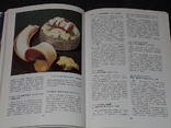 Н. І. Губа - Овочі та фрукти на вашому столі. Видання третє. 1987 рік, фото №5