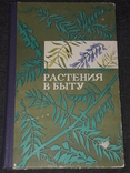 М. Л. Рева, В. М. Липовецкий - Растения в быту. 1977 год, фото №2