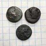 Монеты Пантикапея, фото №4
