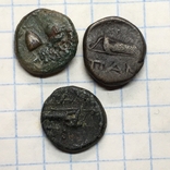 Монеты Пантикапея, фото №5