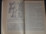Н. П. Иойриш - Пчёлы-человеку. 1974 год, фото №7