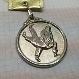 Медаль дзюдо, самбо. Боротьба. Діаметр: 50мм, фото №2