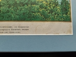 Хромолитография "Общий вид Киево-Печерской Лавры " 1906 год , 69 46 см., фото №10