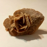 Минерал - Роза Пустыни - Каменный цветок Сахары., фото №2