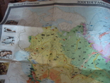 Зоогеографическая карта СССР 1976г. масштаб 1:5000 000, фото №5