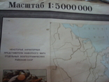 Зоогеографическая карта СССР 1976г. масштаб 1:5000 000, фото №9