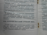 1950 г. П.Г. Замятин Как наша бригада выращивает лен 34 стр. Тираж 4000 (1322), фото №11