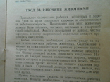 1947 г. Как подготовить и использовать живое тягло на севе 20 стр. Тираж 10000 (1327), фото №10