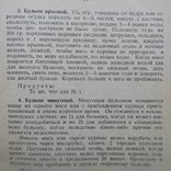  Спутник домашней хозяйки. Уварова Е. 1927, фото №7