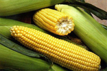 Насіння цукрової кукурудзи Сластьона 20 г 200671, photo number 3