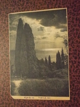 Крым.2 открытки.1929,1931 гг., фото №4