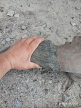 Рог доисторического бизона, фото №3