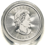 5 долларов. 2021. Кленовый лист. Канада (серебро 9999, вес 31,1 г), фото №4