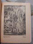 1934 Каталог Виставки першої бригади художників тираж 500 прим, фото №11