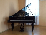 Императорский Концертный рояль, фото №3