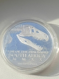 ЮАР 25 рэнд 2020 Целофиз 1 унция серебра в блистере., фото №7