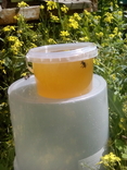 Мёд свежый 0.5, фото №3