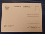 Чернігів. 1958 Тир. 10 тисяч музеїв Коцюбинського, фото №3