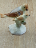 Фарфоровая статуэтка Птички на ветке. Аквинкум. Венгрия., фото №3