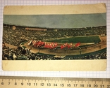 Чистота листівки: Центральний стадіон імені Леніна / Москва, 1960-ті, фото №4
