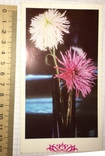 Листівка чиста, подвійна: Квіти у вазі / Болгарія, картина М. Антонової, 1988, фото №4