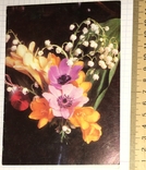 Листівка чиста: Квіти / Болгарія, картина К. Малінова, 1990, фото №2