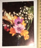 Листівка чиста: Квіти / Болгарія, картина К. Малінова, 1990, фото №3