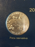 2 гривні 2001 року. Рись, фото №2