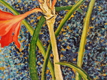 "Amaryllis", диптих, олія, полотно, 30х30, 2016, фото №10