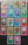 1960 г. Китай Хризантемы Гаш. 18 марок, фото №2