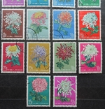 1960 г. Китай Хризантемы Гаш. 18 марок, фото №4