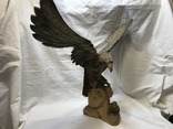 Орёл с птенцом размах крыльев 60 см, фото №4