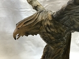Орёл с птенцом размах крыльев 60 см, фото №7