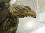 Орёл с птенцом размах крыльев 60 см, фото №8