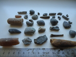 Marine fossils., photo number 5