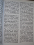 "Історія української ікони Х-ХХ століть" Д.Степовик, 1996 год (первое издание), фото №6