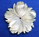 Перламутр белый цветок 35 мм, фото №2