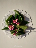 Чай ферментированный, цветочный - вишня с цветами шиповника, фото №3