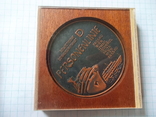 Настольная медаль СССР. Дунайского пароходства., фото №2