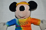 Игрушка мягкая Mickey Mouse Микки Маус walt disney world мышонок мультипликационный герой, photo number 6