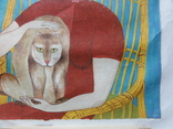 Девушка с котом в плетенном кресле Китай, фото №5