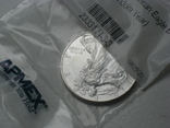 Доллар США 2008 Американский орёл Шагающая свобода, фото №6