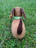  Dog Dachshund 27cm Steiff Steiff Toy Germany, photo number 3