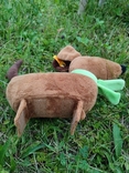  Dog Dachshund 27cm Steiff Steiff Toy Germany, photo number 4