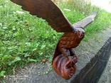 Большой орел, фото №3