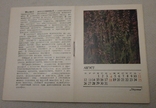 Календарь Лекарственные растения, 1991 г., фото №5