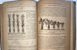 Агрохимия, Академик Прянишников., фото №10