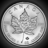 5 долларов. 2021. Кленовый лист. Канада (серебро 9999, вес 31,1 г), фото №10
