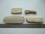 Fragments of petrified wood, photo number 2
